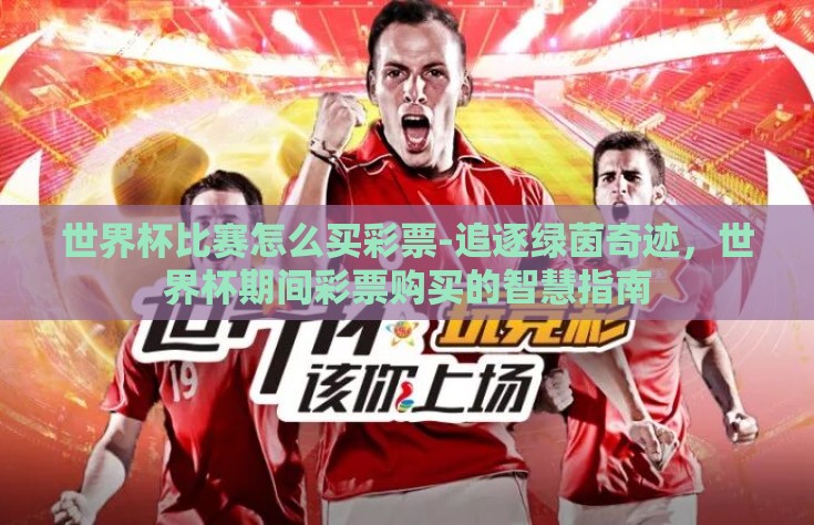 世界杯比赛怎么买彩票-追逐绿茵奇迹，世界杯期间彩票购买的智慧指南