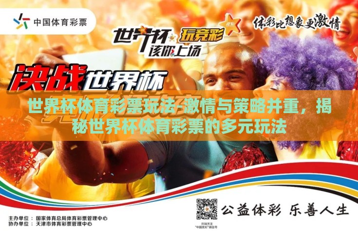 世界杯体育彩票玩法-激情与策略并重，揭秘世界杯体育彩票的多元玩法