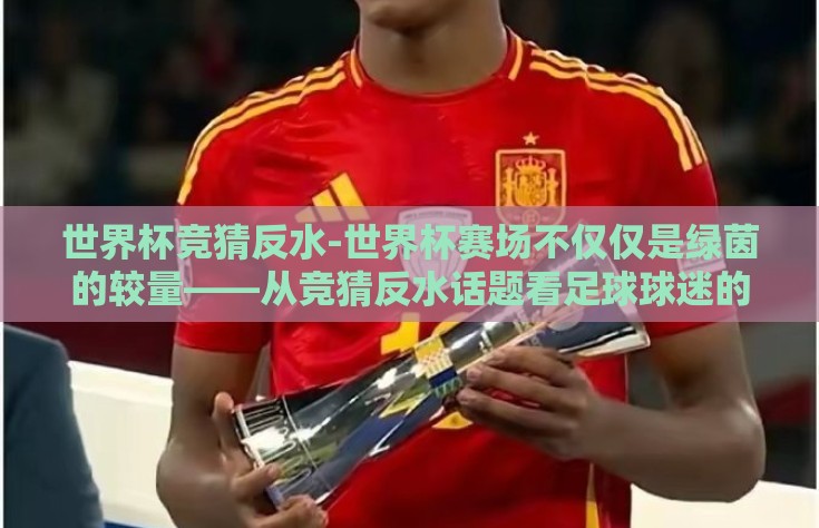 世界杯竞猜反水-世界杯赛场不仅仅是绿茵的较量——从竞猜反水话题看足球球迷的智慧与策略