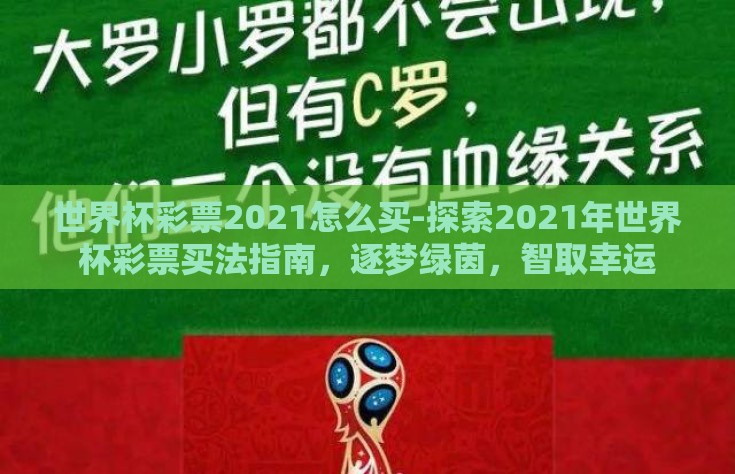 世界杯彩票2021怎么买-探索2021年世界杯彩票买法指南，逐梦绿茵，智取幸运