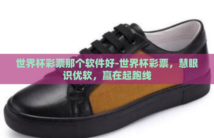 世界杯彩票那个软件好-世界杯彩票，慧眼识优软，赢在起跑线