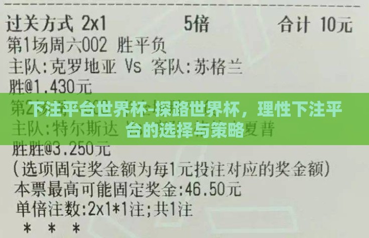下注平台世界杯-探路世界杯，理性下注平台的选择与策略