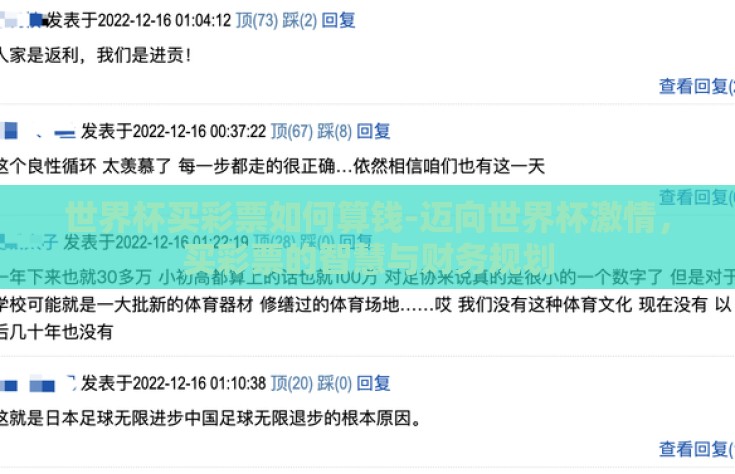 世界杯买彩票如何算钱-迈向世界杯激情，买彩票的智慧与财务规划