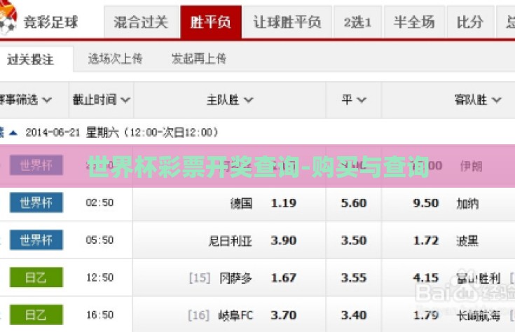 世界杯彩票开奖查询-购买与查询
