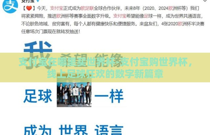 支付宝在哪里买世界杯-支付宝购世界杯，线上足球狂欢的数字新篇章