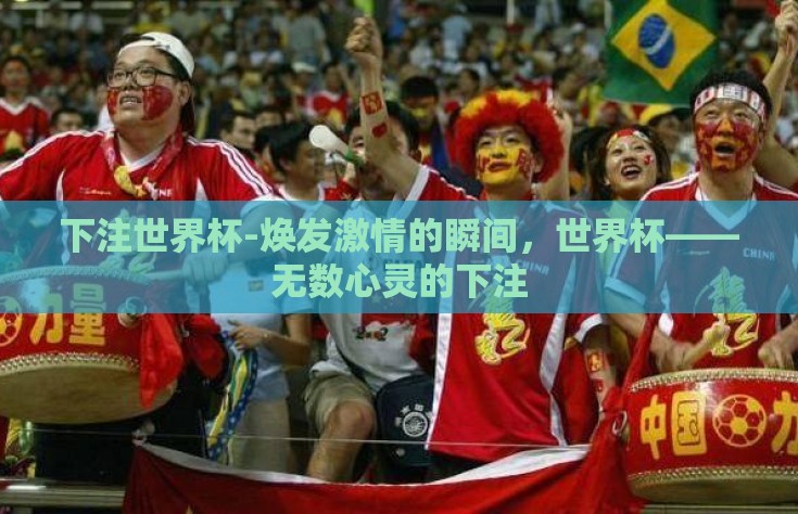 下注世界杯-焕发激情的瞬间，世界杯——无数心灵的下注