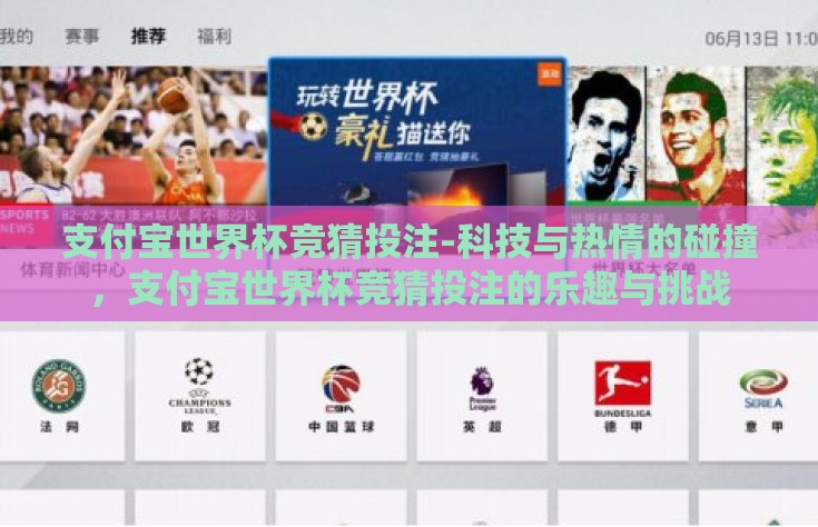支付宝世界杯竞猜投注-科技与热情的碰撞，支付宝世界杯竞猜投注的乐趣与挑战
