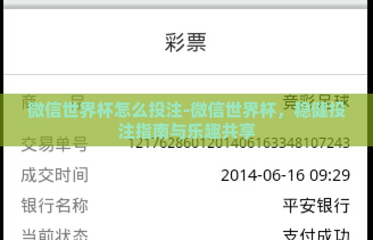 微信世界杯怎么投注-微信世界杯，稳健投注指南与乐趣共享