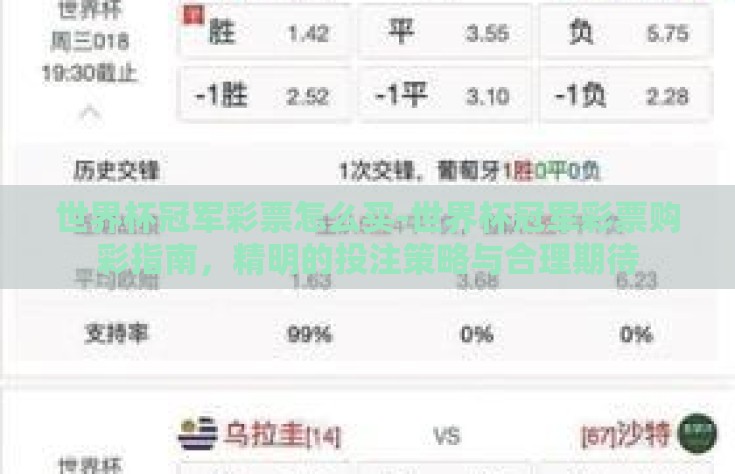 世界杯冠军彩票怎么买-世界杯冠军彩票购彩指南，精明的投注策略与合理期待