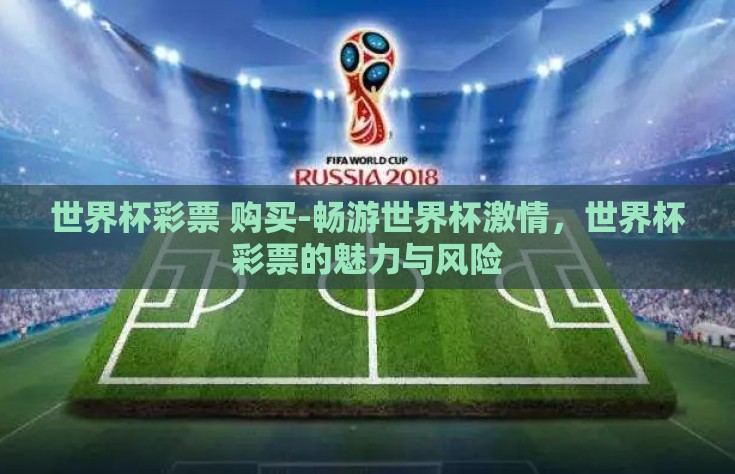 世界杯彩票 购买-畅游世界杯激情，世界杯彩票的魅力与风险