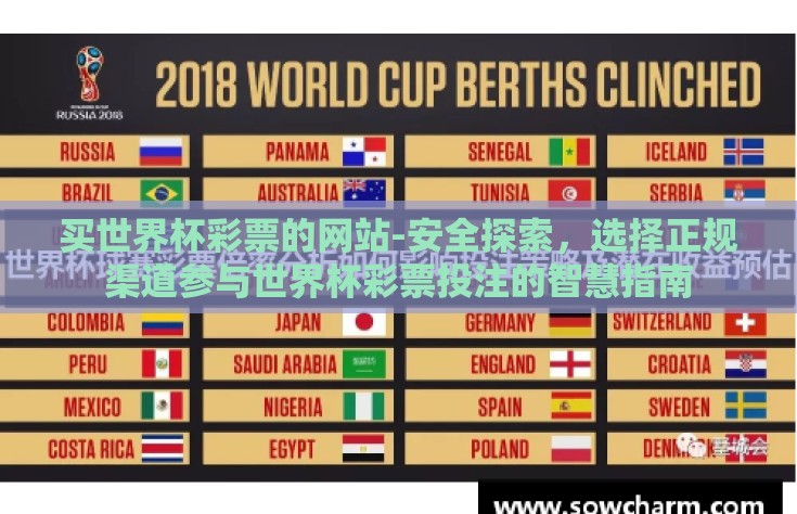 买世界杯彩票的网站-安全探索，选择正规渠道参与世界杯彩票投注的智慧指南