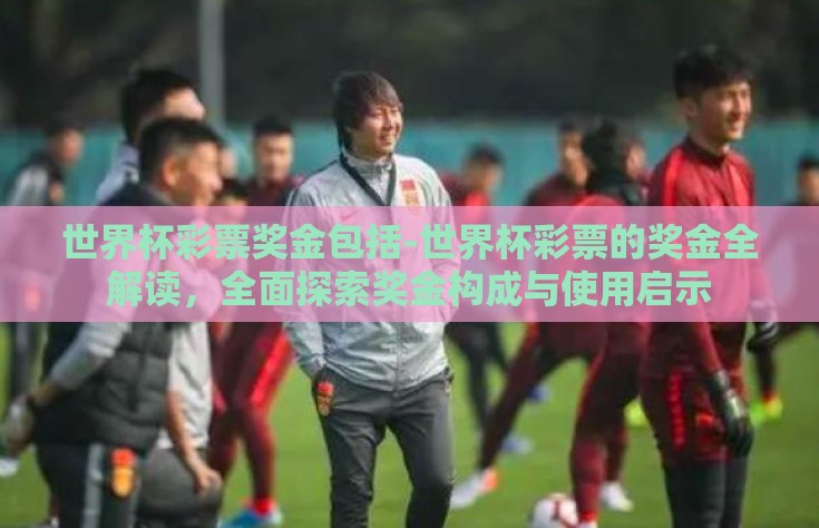 世界杯彩票奖金包括-世界杯彩票的奖金全解读，全面探索奖金构成与使用启示