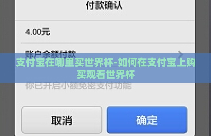 支付宝在哪里买世界杯-如何在支付宝上购买观看世界杯