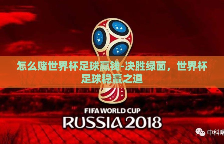 怎么赌世界杯足球赢钱-决胜绿茵，世界杯足球稳赢之道