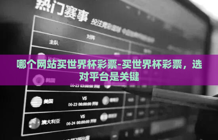 哪个网站买世界杯彩票-买世界杯彩票，选对平台是关键
