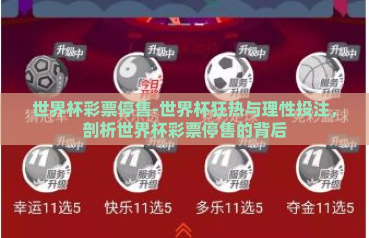 世界杯彩票停售-世界杯狂热与理性投注，剖析世界杯彩票停售的背后