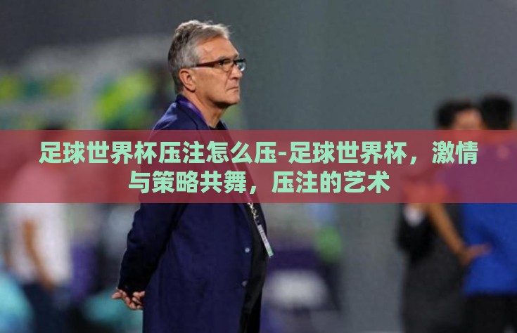 足球世界杯压注怎么压-足球世界杯，激情与策略共舞，压注的艺术