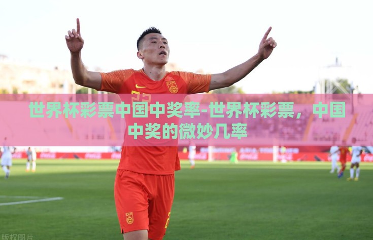 世界杯彩票中国中奖率-世界杯彩票，中国中奖的微妙几率