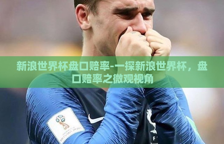 新浪世界杯盘口赔率-一探新浪世界杯，盘口赔率之微观视角
