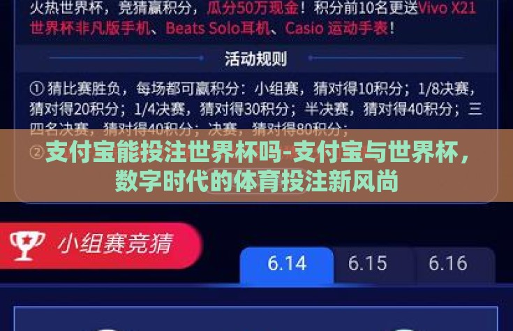 支付宝能投注世界杯吗-支付宝与世界杯，数字时代的体育投注新风尚