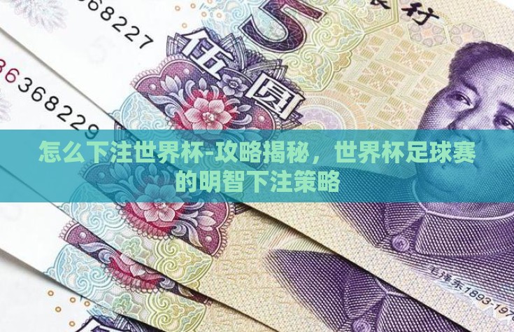 怎么下注世界杯-攻略揭秘，世界杯足球赛的明智下注策略