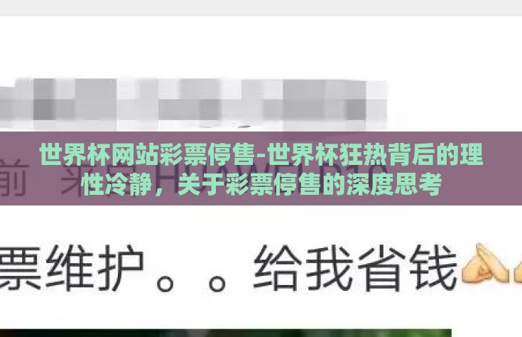世界杯网站彩票停售-世界杯狂热背后的理性冷静，关于彩票停售的深度思考