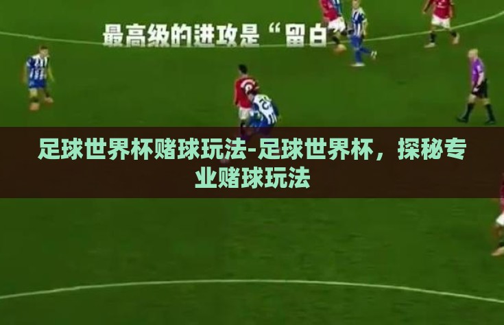 足球世界杯赌球玩法-足球世界杯，探秘专业赌球玩法