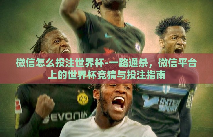 微信怎么投注世界杯-一路通杀，微信平台上的世界杯竞猜与投注指南