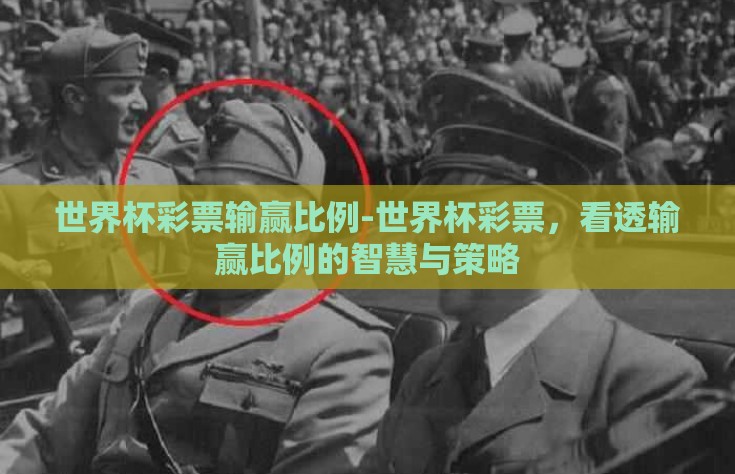 世界杯彩票输赢比例-世界杯彩票，看透输赢比例的智慧与策略