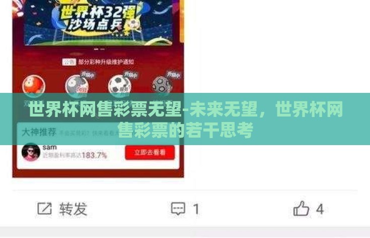 世界杯网售彩票无望-未来无望，世界杯网售彩票的若干思考
