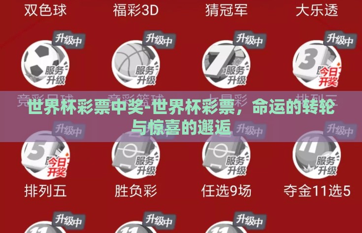 世界杯彩票中奖-世界杯彩票，命运的转轮与惊喜的邂逅