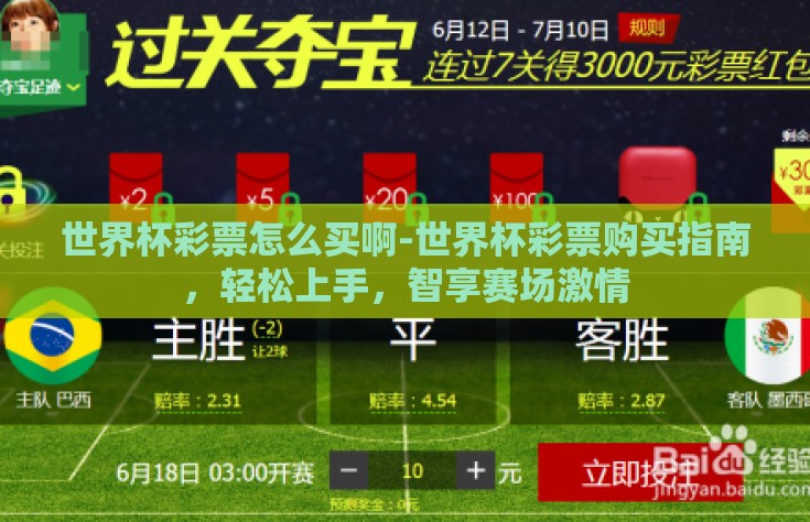 世界杯彩票怎么买啊-世界杯彩票购买指南，轻松上手，智享赛场激情