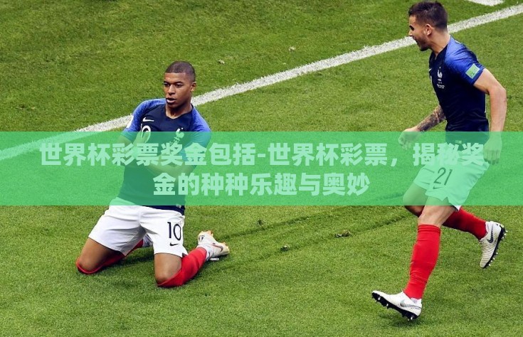 世界杯彩票奖金包括-世界杯彩票，揭秘奖金的种种乐趣与奥妙