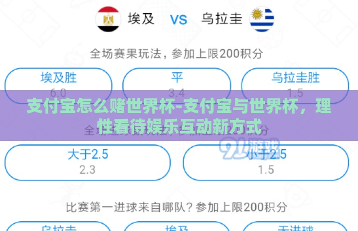 支付宝怎么赌世界杯-支付宝与世界杯，理性看待娱乐互动新方式