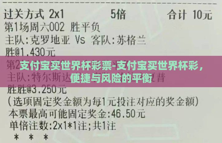 支付宝买世界杯彩票-支付宝买世界杯彩，便捷与风险的平衡