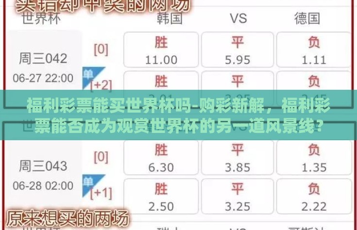 福利彩票能买世界杯吗-购彩新解，福利彩票能否成为观赏世界杯的另一道风景线？