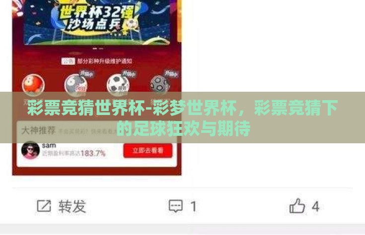 彩票竞猜世界杯-彩梦世界杯，彩票竞猜下的足球狂欢与期待