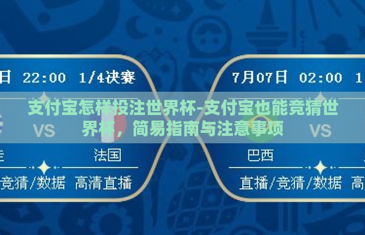 支付宝怎样投注世界杯-支付宝也能竞猜世界杯，简易指南与注意事项