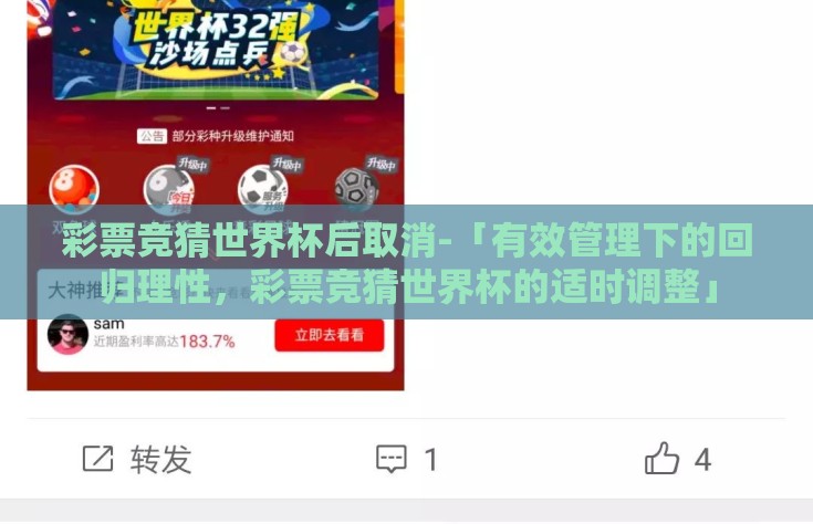 彩票竞猜世界杯后取消-「有效管理下的回归理性，彩票竞猜世界杯的适时调整」