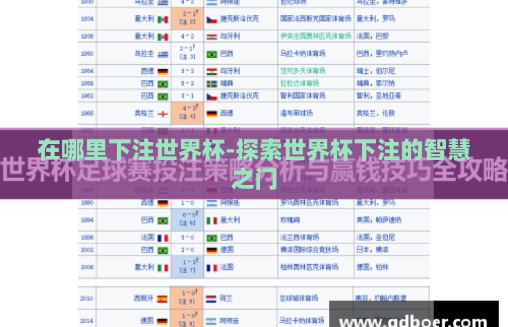 在哪里下注世界杯-探索世界杯下注的智慧之门