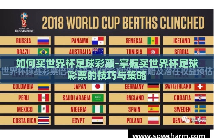 如何买世界杯足球彩票-掌握买世界杯足球彩票的技巧与策略