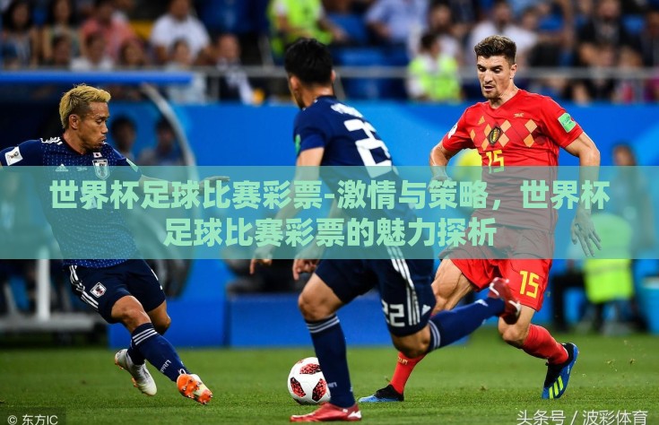 世界杯足球比赛彩票-激情与策略，世界杯足球比赛彩票的魅力探析
