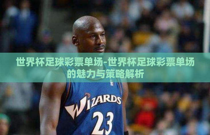 世界杯足球彩票单场-世界杯足球彩票单场的魅力与策略解析