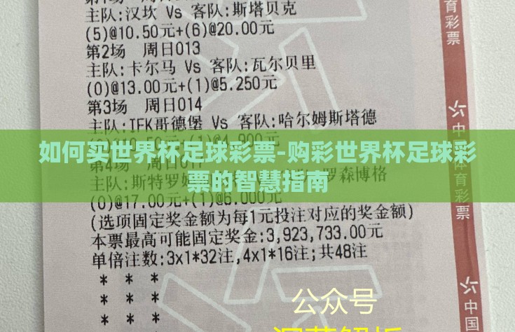 如何买世界杯足球彩票-购彩世界杯足球彩票的智慧指南