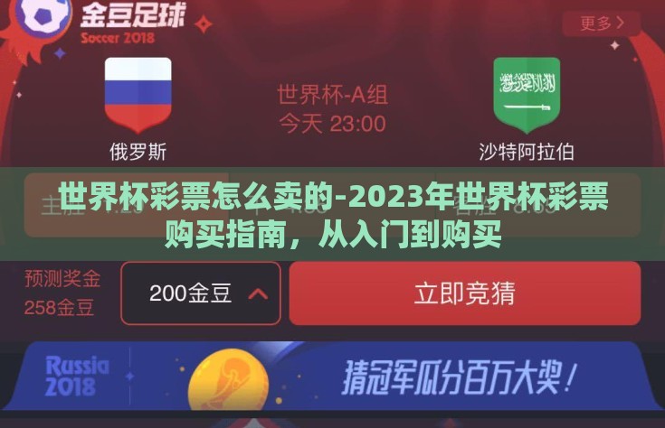 世界杯彩票怎么卖的-2023年世界杯彩票购买指南，从入门到购买
