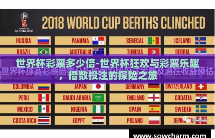 世界杯彩票多少倍-世界杯狂欢与彩票乐趣，倍数投注的探险之旅