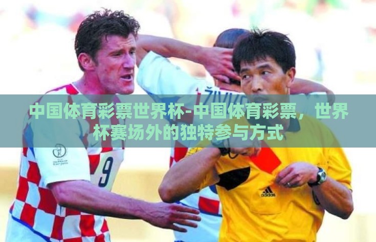 中国体育彩票世界杯-中国体育彩票，世界杯赛场外的独特参与方式