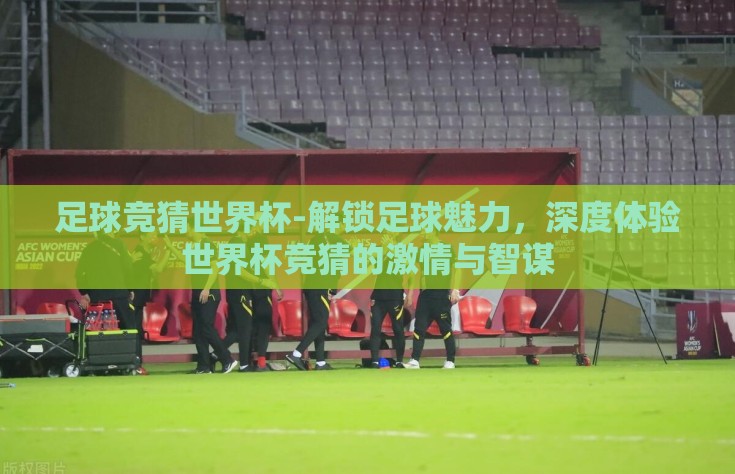 足球竞猜世界杯-解锁足球魅力，深度体验世界杯竞猜的激情与智谋
