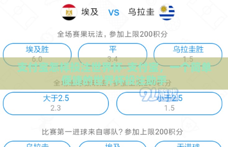 支付宝怎样投注世界杯-支付宝，一个简单便捷的世界杯投注助手
