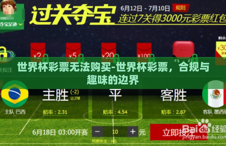 世界杯彩票无法购买-世界杯彩票，合规与趣味的边界